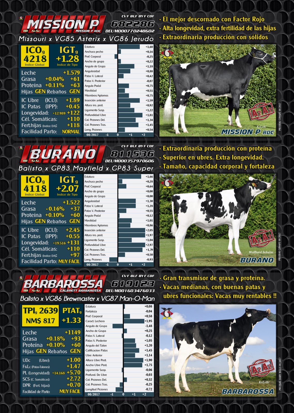 BAS&middot;GGI - NUESTROS TOROS A2A2